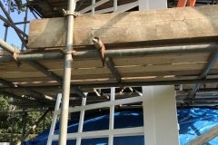 1_close-up-2-rotated