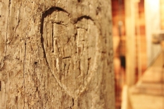 32081071_10215674285151848_770029821618028544_n