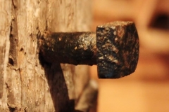 32104566_10215674285191849_4688901168108142592_n