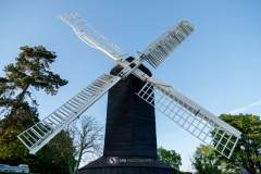 32130578_10155159731681059_7906437744237215744_o