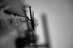 32156554_10155159731691059_3602334219574968320_o