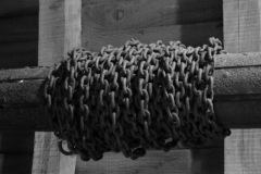 32286629_10156439855587560_8475367361581416448_o