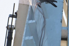 32349374_10156439853892560_8790077637042110464_n