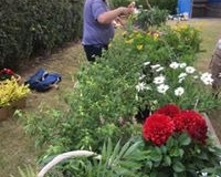 66648995_2567669016610994_7519840337695604736_n